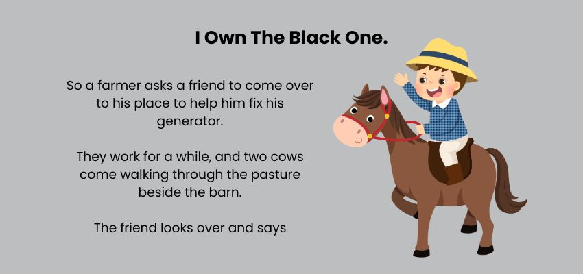 I Own The Black One.